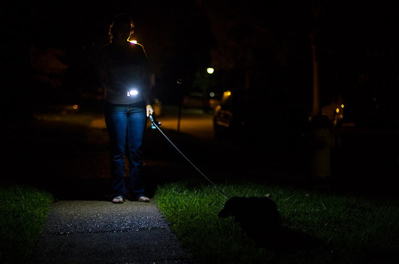 The Ins and Outs of Flashlights for Casual Evening Dog Walks