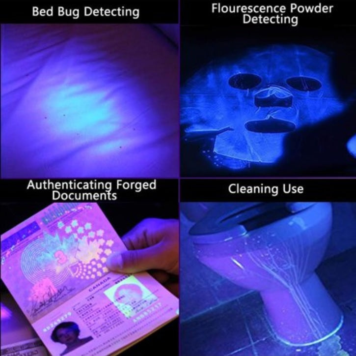 UV Flashlights