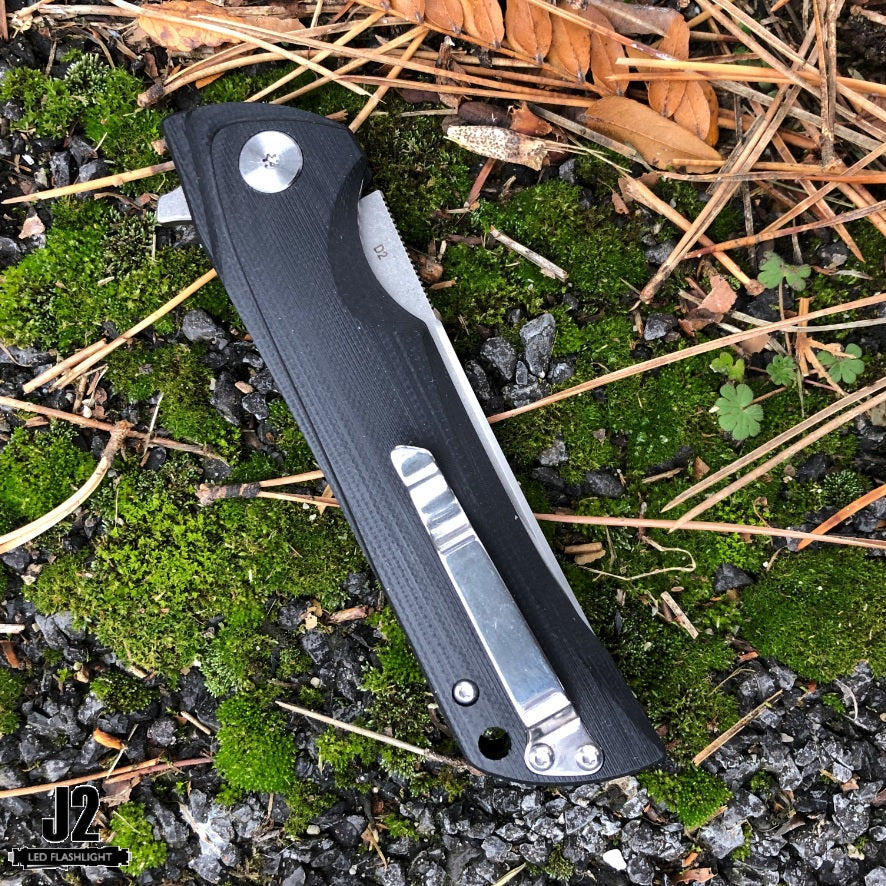 Bestech Paladin Black G10 Folder, D2 Steel, BTKG13A1