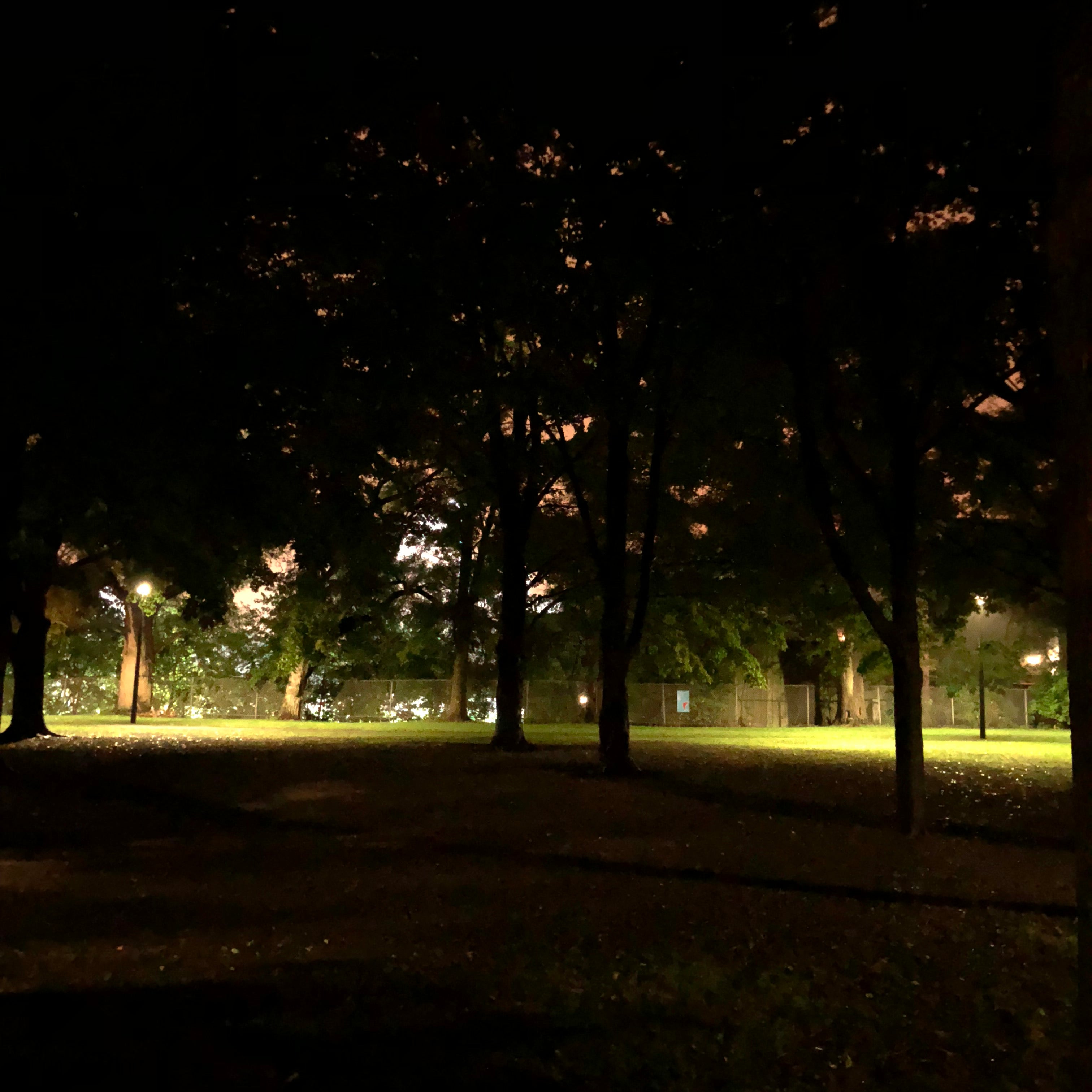 EAGLETAC GX30L2DR KIT VERSION with a built in diffuser.